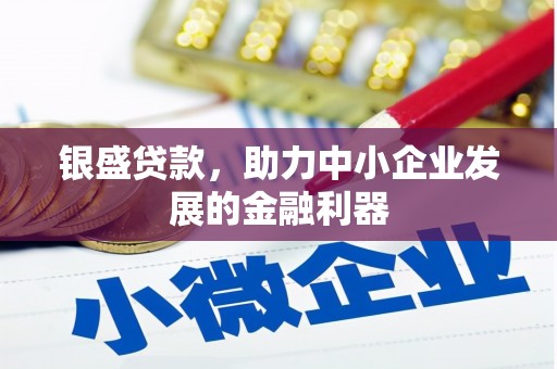 宁乡银盛贷款，助力中小企业发展的金融利器