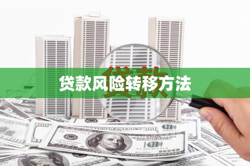 宁乡贷款风险转移方法