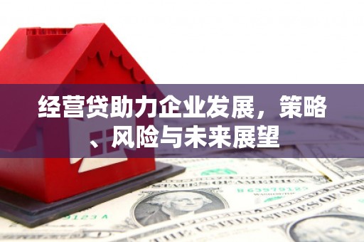 宁乡经营贷助力企业发展，策略、风险与未来展望