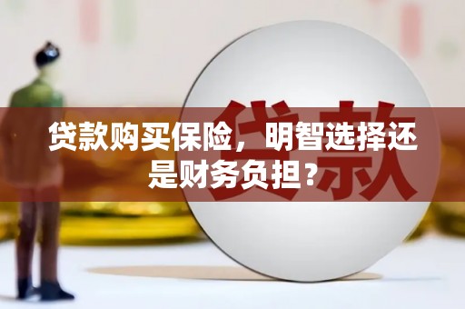 宁乡贷款购买保险，明智选择还是财务负担？