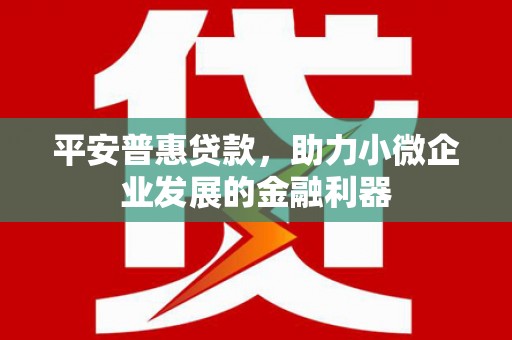 宁乡平安普惠贷款，助力小微企业发展的金融利器
