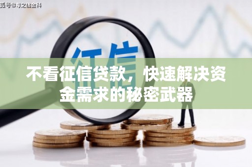 宁乡不看征信贷款，快速解决资金需求的秘密武器