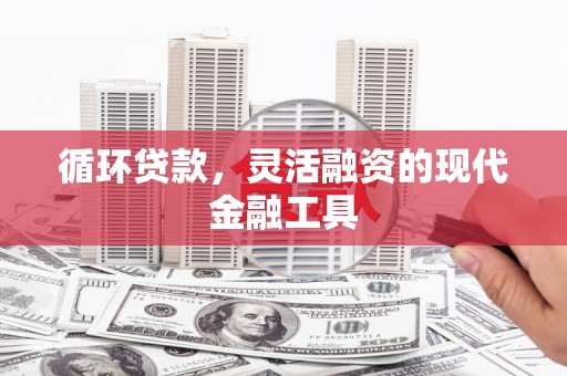 宁乡循环贷款，灵活融资的现代金融工具