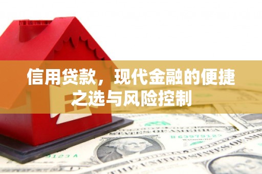 宁乡信用贷款，现代金融的便捷之选与风险控制