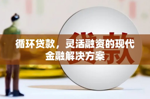 宁乡循环贷款，灵活融资的现代金融解决方案