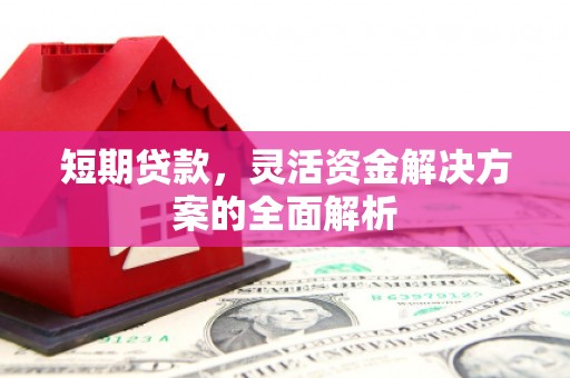 宁乡短期贷款，灵活资金解决方案的全面解析