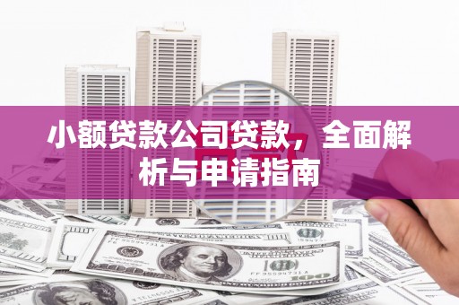 宁乡小额贷款公司贷款，全面解析与申请指南