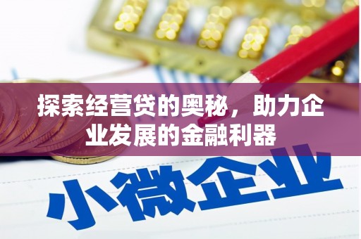 宁乡探索经营贷的奥秘，助力企业发展的金融利器