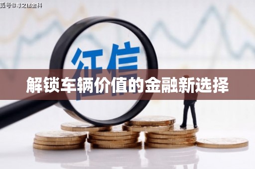 宁乡解锁车辆价值的金融新选择