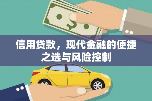 宁乡信用贷款，现代金融的便捷之选与风险控制