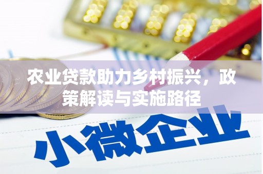 宁乡农业贷款助力乡村振兴，政策解读与实施路径