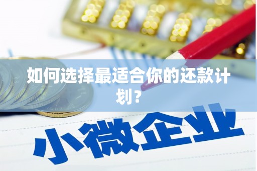 宁乡如何选择最适合你的还款计划？