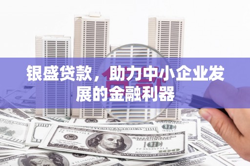 宁乡银盛贷款，助力中小企业发展的金融利器