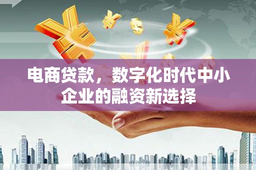 宁乡电商贷款，数字化时代中小企业的融资新选择