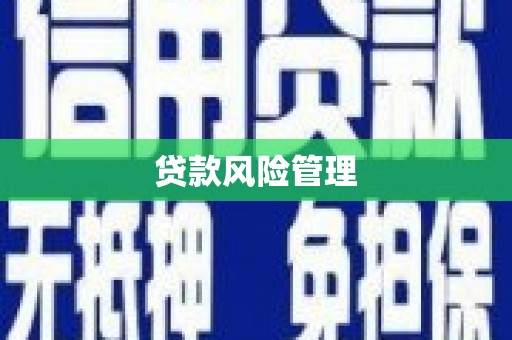 宁乡贷款风险管理