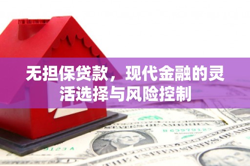 宁乡无担保贷款，现代金融的灵活选择与风险控制