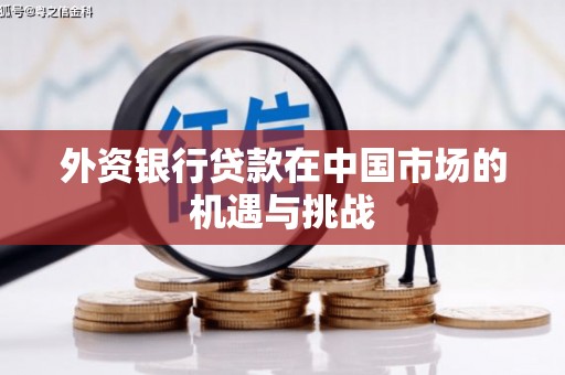 宁乡外资银行贷款在中国市场的机遇与挑战