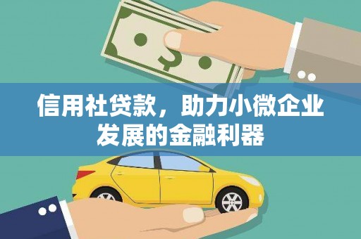宁乡信用社贷款，助力小微企业发展的金融利器