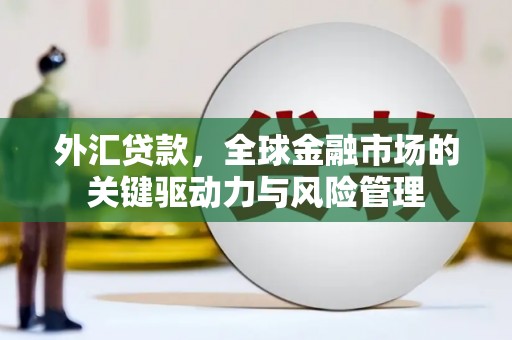 宁乡外汇贷款，全球金融市场的关键驱动力与风险管理