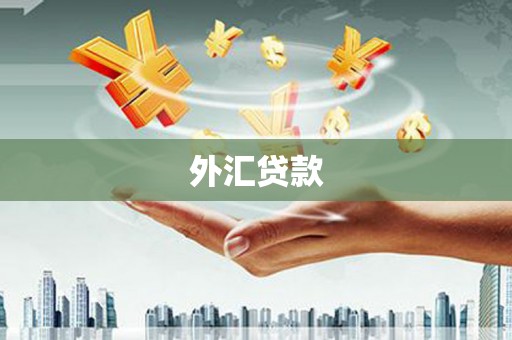 宁乡外汇贷款