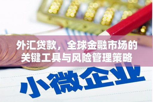 宁乡外汇贷款，全球金融市场的关键工具与风险管理策略