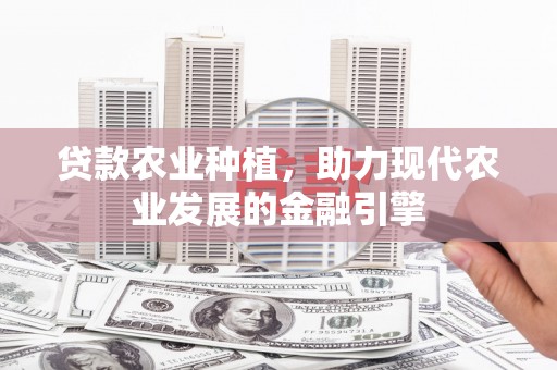 宁乡贷款农业种植，助力现代农业发展的金融引擎