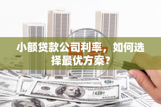 宁乡小额贷款公司利率，如何选择最优方案？