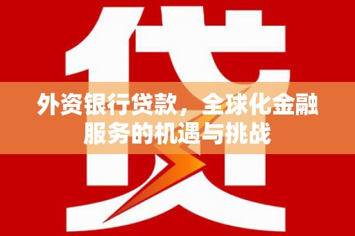 宁乡外资银行贷款，全球化金融服务的机遇与挑战