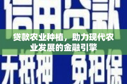 宁乡贷款农业种植，助力现代农业发展的金融引擎