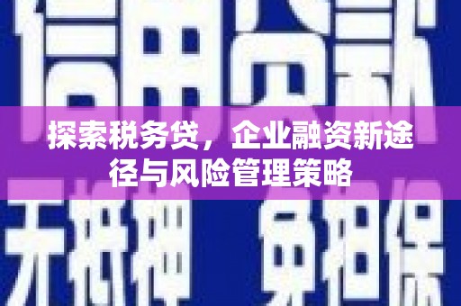 宁乡探索税务贷，企业融资新途径与风险管理策略