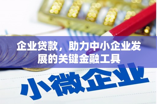 宁乡企业贷款，助力中小企业发展的关键金融工具