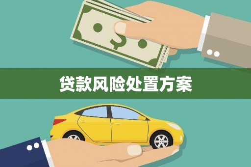 宁乡贷款风险处置方案