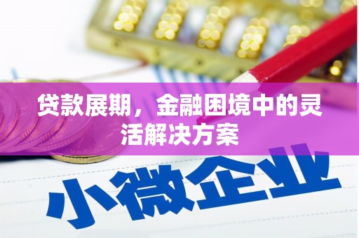 宁乡贷款展期，金融困境中的灵活解决方案