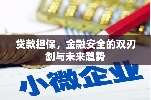 宁乡贷款担保，金融安全的双刃剑与未来趋势