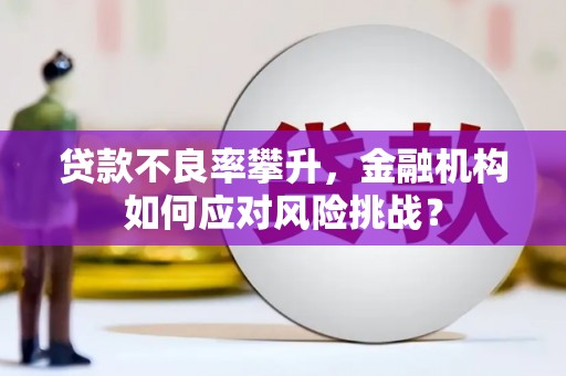 宁乡贷款不良率攀升，金融机构如何应对风险挑战？