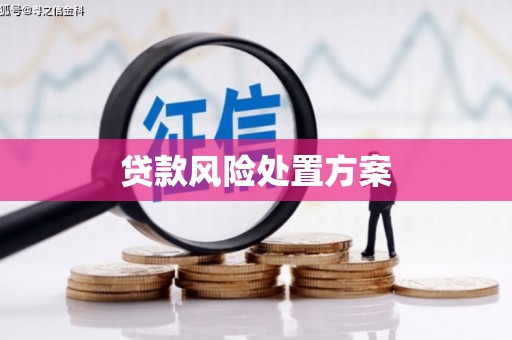 宁乡贷款风险处置方案