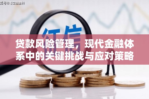 宁乡贷款风险管理，现代金融体系中的关键挑战与应对策略