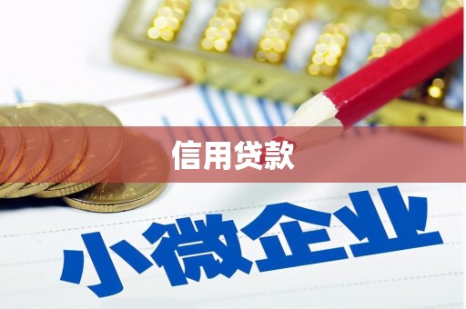 宁乡信用贷款