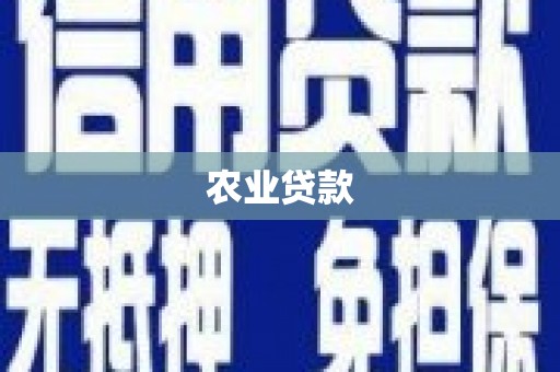 宁乡农业贷款