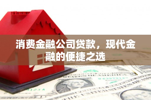 宁乡消费金融公司贷款，现代金融的便捷之选