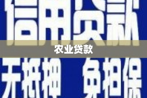 宁乡农业贷款