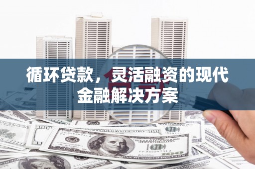 宁乡循环贷款，灵活融资的现代金融解决方案
