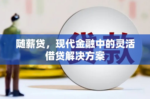宁乡随薪贷，现代金融中的灵活借贷解决方案