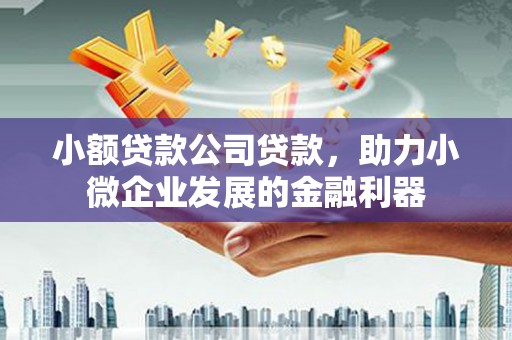 宁乡小额贷款公司贷款，助力小微企业发展的金融利器