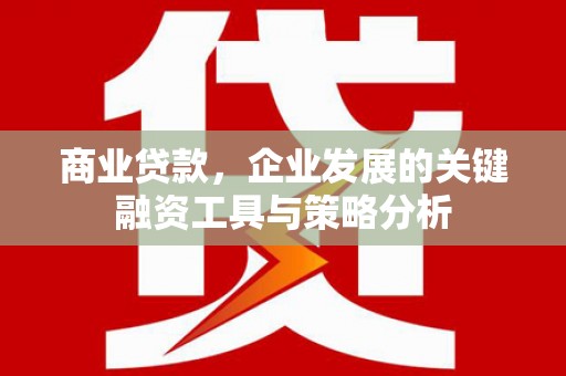 宁乡商业贷款，企业发展的关键融资工具与策略分析