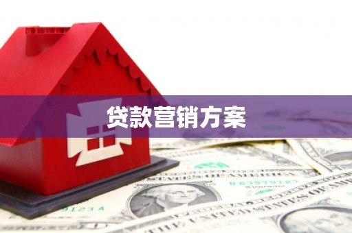 宁乡贷款营销方案