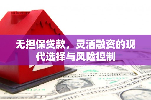 宁乡无担保贷款，灵活融资的现代选择与风险控制