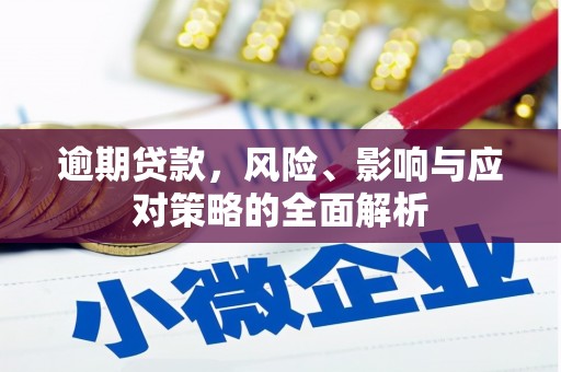 宁乡逾期贷款，风险、影响与应对策略的全面解析