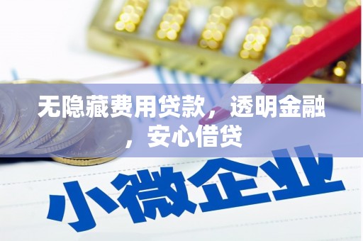 宁乡无隐藏费用贷款，透明金融，安心借贷