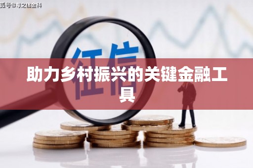 宁乡助力乡村振兴的关键金融工具